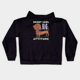 Cute Brown Doxie  with classic pose short legs big attitude Kids Hoodie